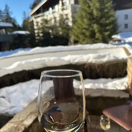 Апартаменты Alpine Charm Боровец