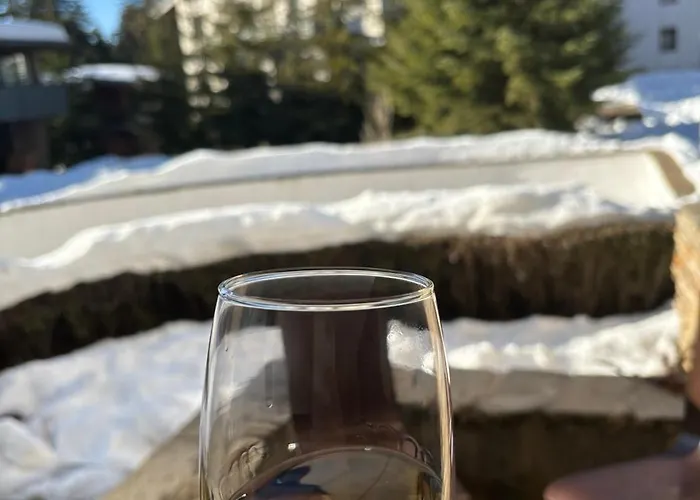 Apartament Alpine Charm Borowec